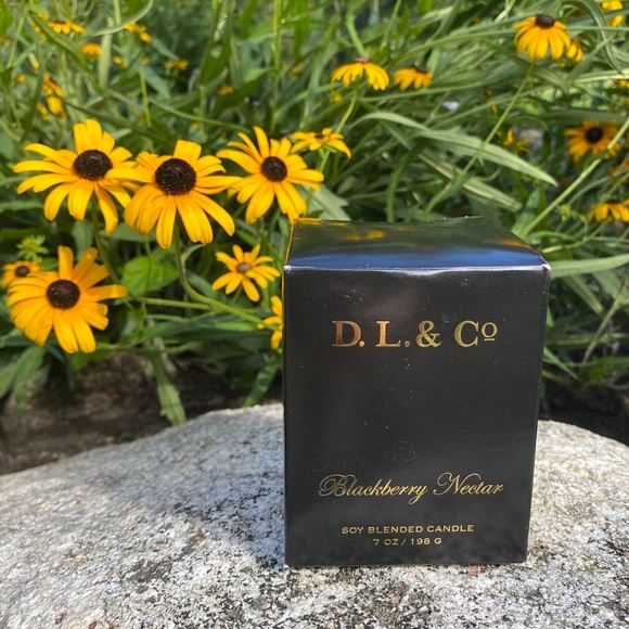 NWT BlackBerry Nectar Soy Blended Candle - Picture 2 of 4